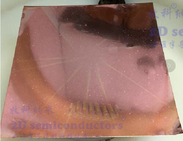 646f59d80e60b.jpg PMMA+背面等离子刻蚀.jpg